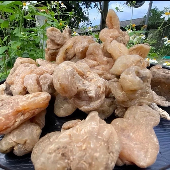 南掌琥珀参高山特产中缅边境云南边境山货正品高原正宗泡水煲汤