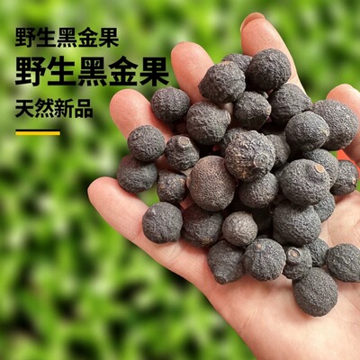 小柑胎 中缅边境山货黑灵果泡水养生龙金果野生正品天然新货