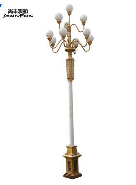 6米7米8米9火中华灯现代中式路灯户外灯高杆灯小区景观灯庭院灯