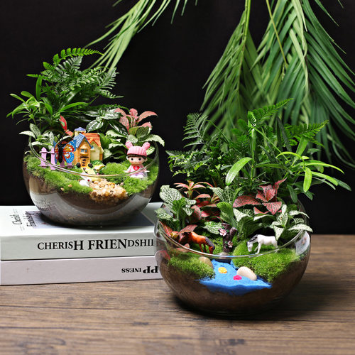 菁娇微景观暖场diy活动套装