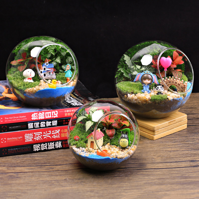 暖场活动 微景观生态瓶苔藓植物diy材料包玻璃球盆栽摆件礼品套装