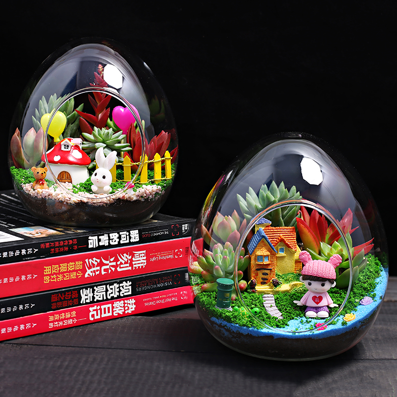 大蛋玻璃瓶多肉肉组合植物盆栽 迷你多肉小绿植盆景微景观diy材料