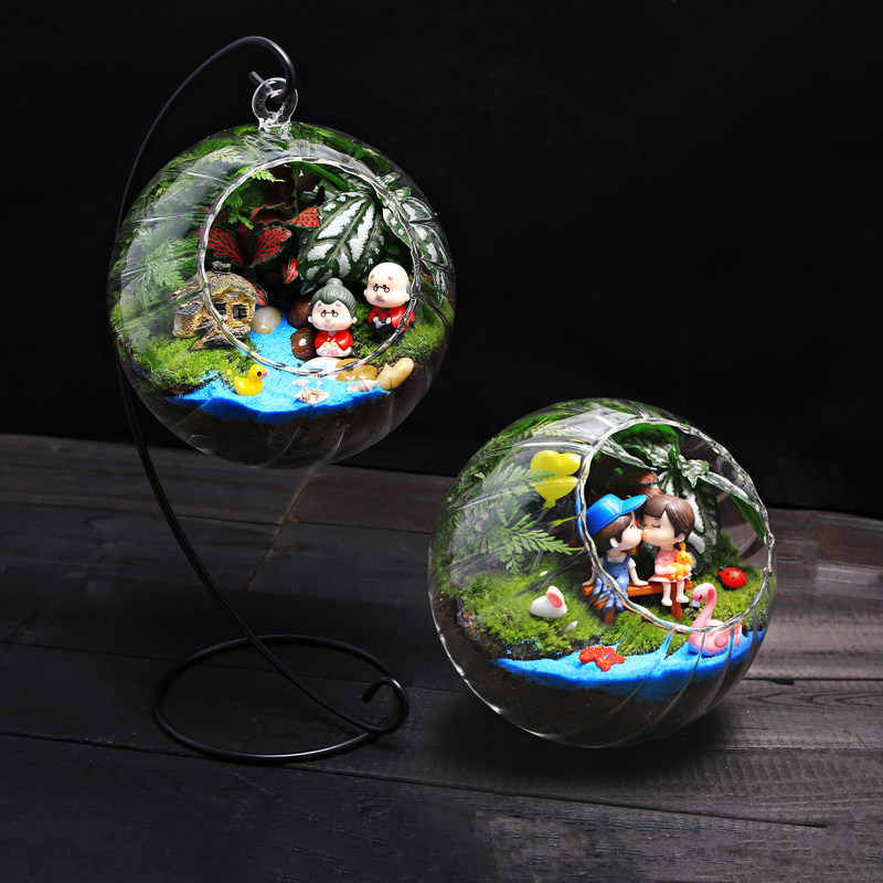 16c苔藓室内桌面迷你小盆栽绿植物花苞生态玻璃瓶微缩景观diy材料