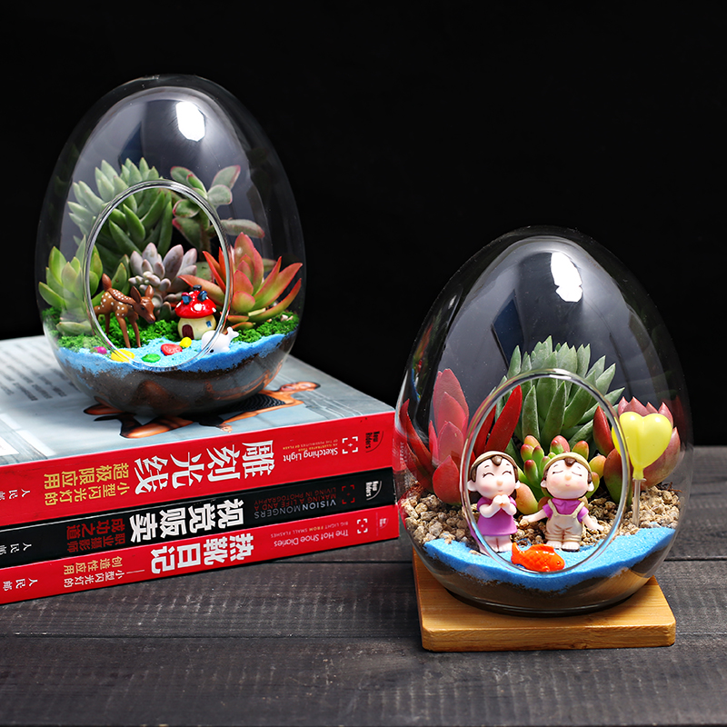 中蛋玻璃瓶多肉肉组合植物盆栽 迷你多肉小绿植盆景微景观diy材料