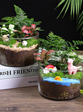 12c大号直筒瓶创意鲜活苔藓微景观diy材料包生态瓶子摆件礼品套装