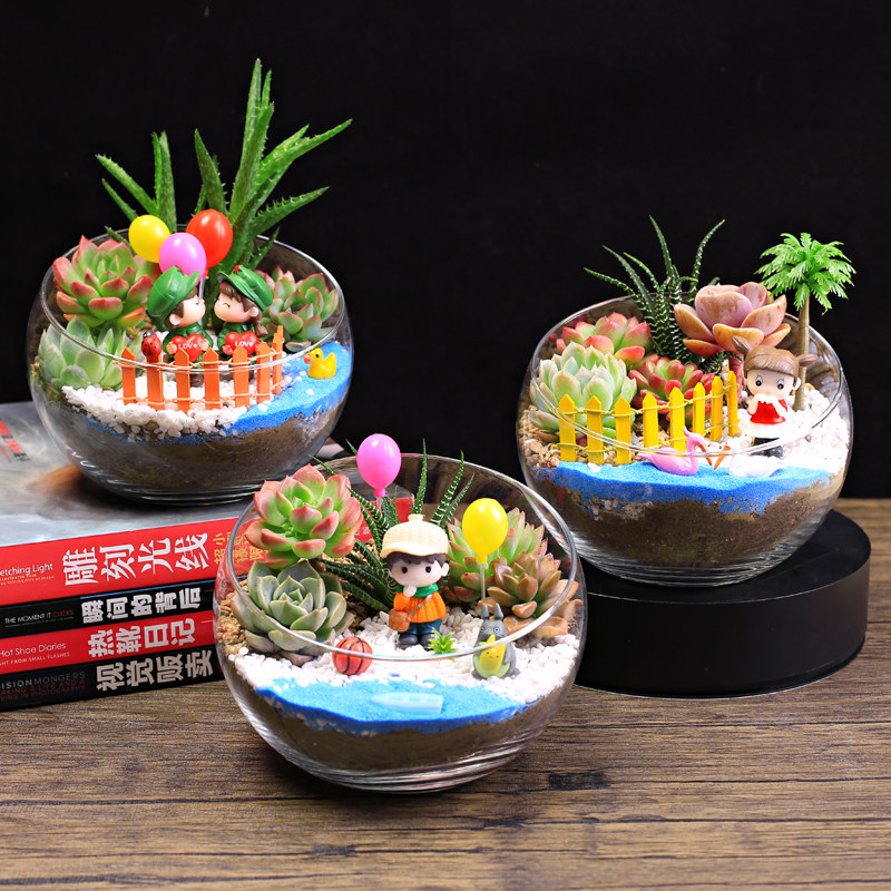 15cm切口多肉植物创意微景观组合盆栽肉肉拼盘套装diy材料包礼物