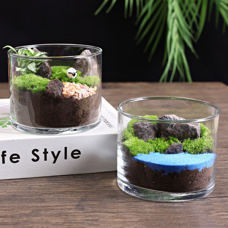 10c直筒苔藓微景观生态瓶趣味植物创意DIY材料包迷你玻璃盆栽礼物