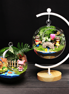 16c苔藓微景观生态双孔吊瓶白色支架子DIY材料包桌面绿植物小盆栽