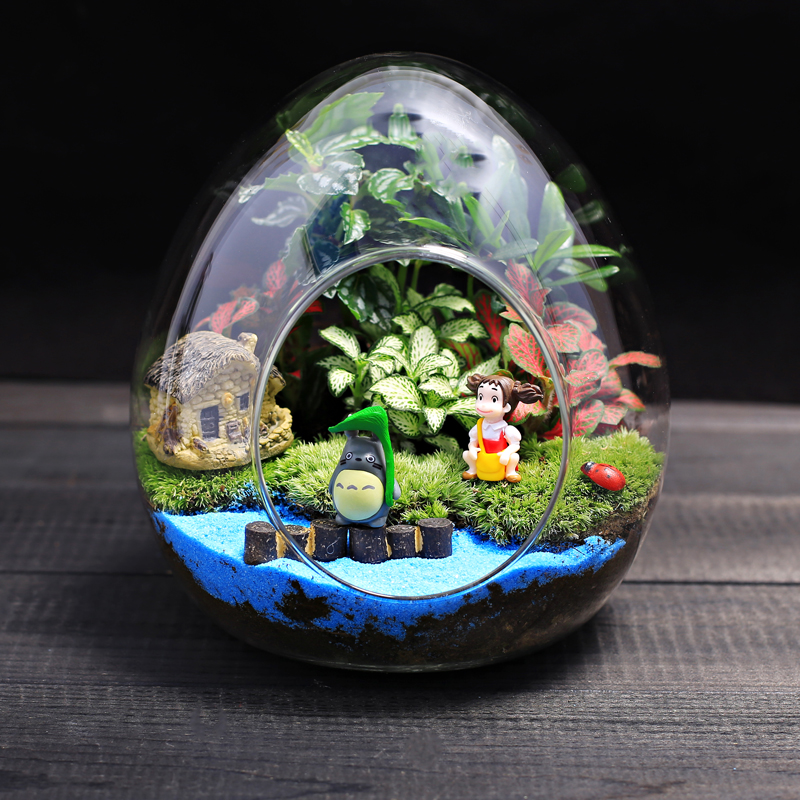 大蛋型玻璃瓶苔藓微景观绿植物创意盆栽 办公室内桌面diy材料套装