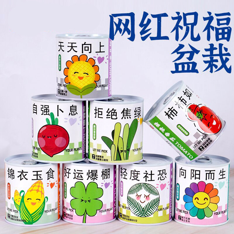 种植小盆栽办公室绿植室内桌面儿童种植种子罐头情绪稳定创意绿植