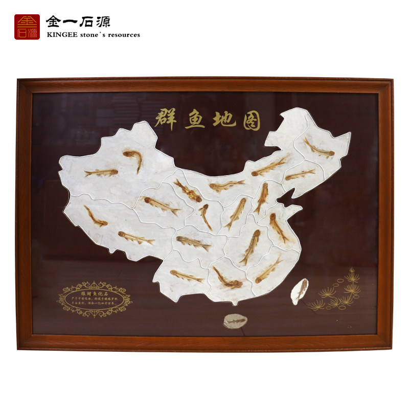 辽西天然古生物化石狼鳍鱼化石原石拼图实木精装裱精装礼品装饰品,家居饰品,标本类装饰画,淘宝优惠券,粉丝福利购,淘宝优惠卷