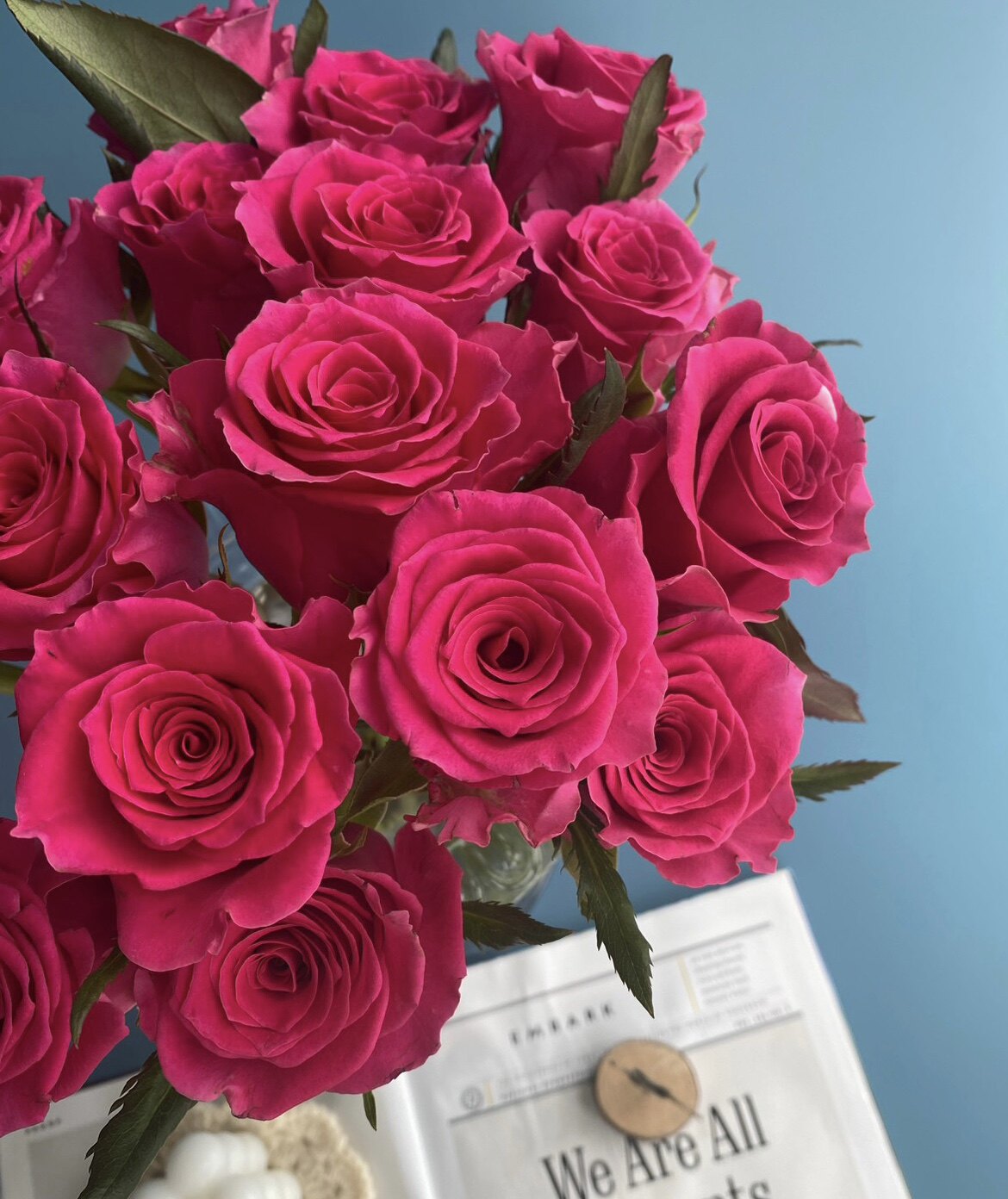 高盛切花月季杯型花状抗病强适合新手花苗庭院阳台绿植盆栽