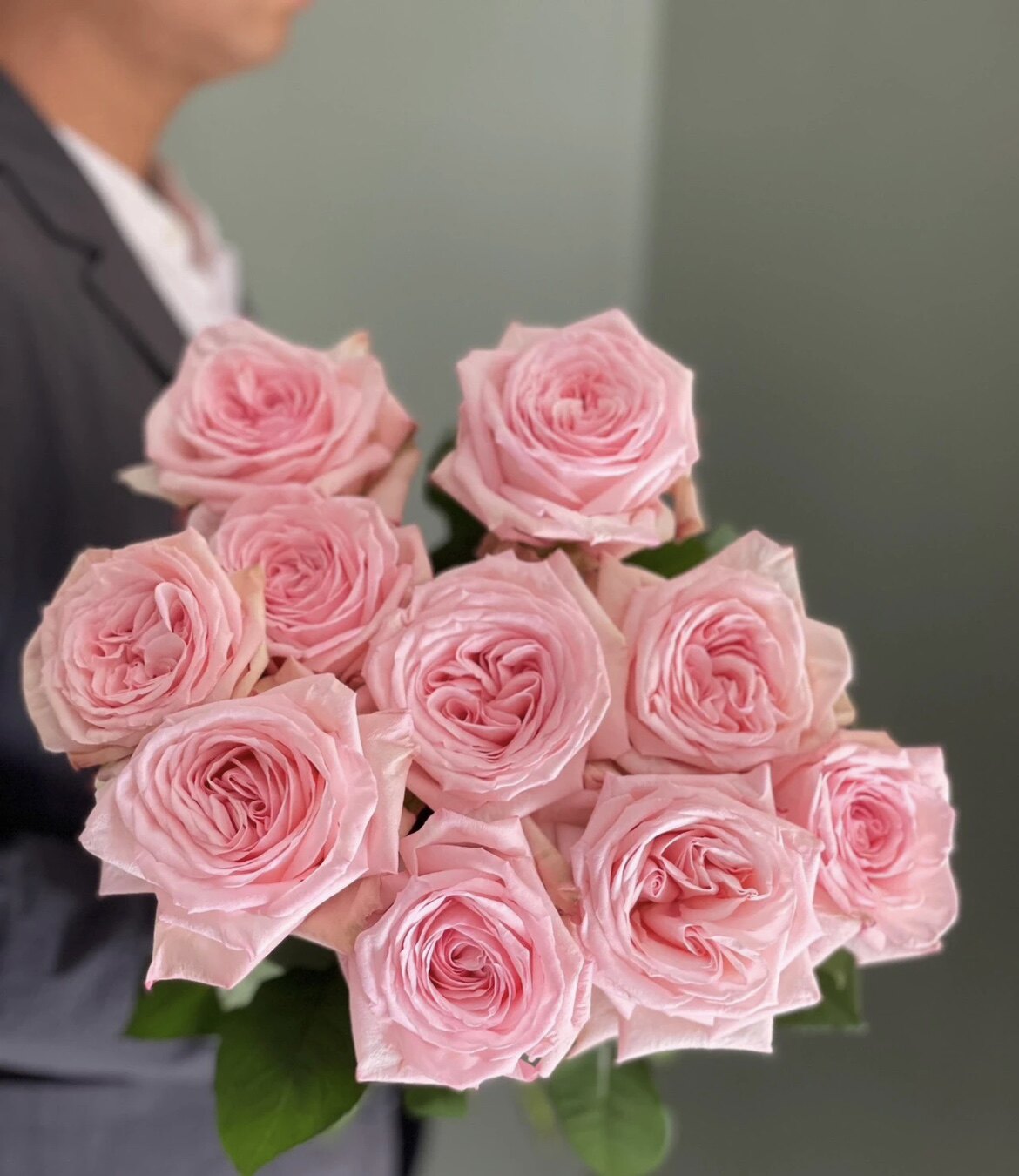 粉荔枝一加仑浓香中苗带盆发货包邮