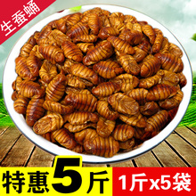 5斤山东农家新鲜桑蚕蛹冷冻生蚕蛹非即食小蚕蛹茧蛹蝉蛹特产包邮