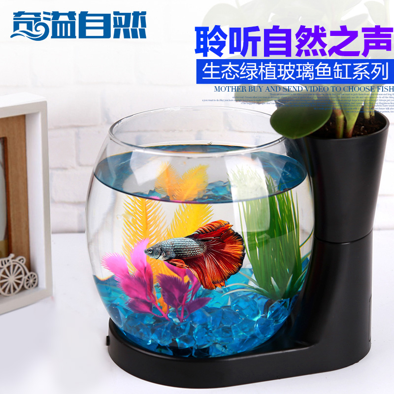 进口版桌面鱼缸 观赏鱼缸斗鱼缸迷你小型鱼缸创意鱼缸