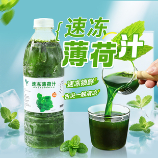 饮力健冷冻薄荷汁960g非浓缩原浆鲜榨速冻冰爽气泡水饮品调配原料