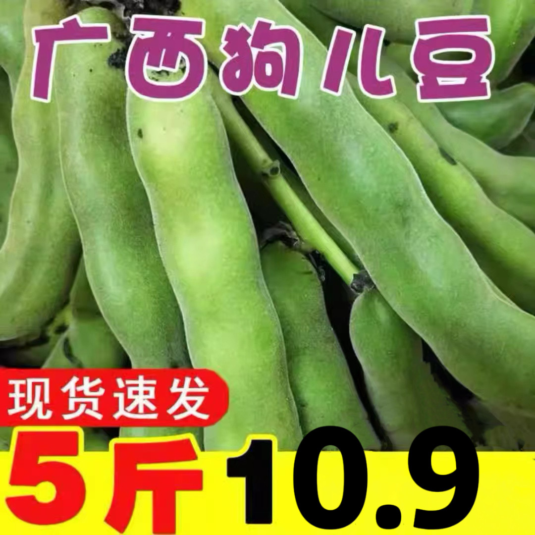 广西新鲜狗儿豆狗爪豆5斤农家特产现摘龙爪豆虎老豆狗毛豆猫猫豆