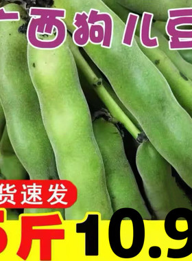 广西新鲜狗儿豆狗爪豆5斤农家特产现摘龙爪豆虎老豆狗毛豆猫猫豆
