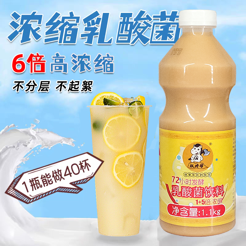 权焠帮乳酸菌益生菌饮料饮品发酵浓缩酸奶益菌多奶茶专用商用整箱