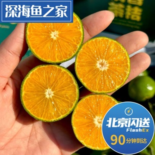 北京闪送 清香茶橘  长在茶里好吃不上火的桔子