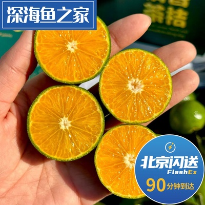 北京闪送 清香茶橘  长在茶里好吃不上火的桔子