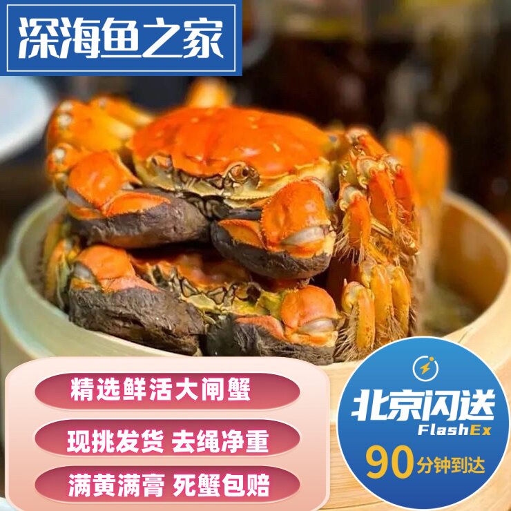 北京闪送 精选鲜活大闸蟹  螃蟹 河蟹 活蟹大小公母可选