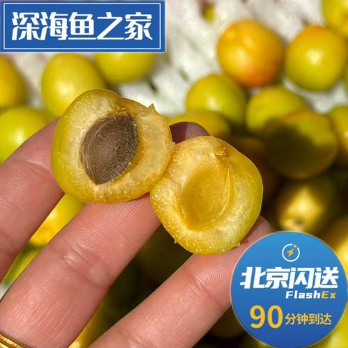 北京闪送 新疆小白杏 3斤左右果筐装