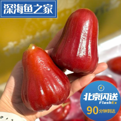 北京闪送 D5元素黑金刚莲雾 特大果3斤水果礼盒