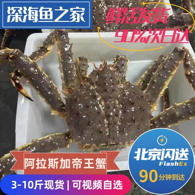 北京闪送 每只精选鲜活帝王蟹4-15斤现货 特大皇帝蟹 顺丰快递