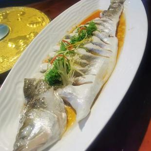 北京闪送 鲜活大翘嘴鱼 正宗丹江口 刁子鱼 白鱼新鲜鲜活 翘嘴白