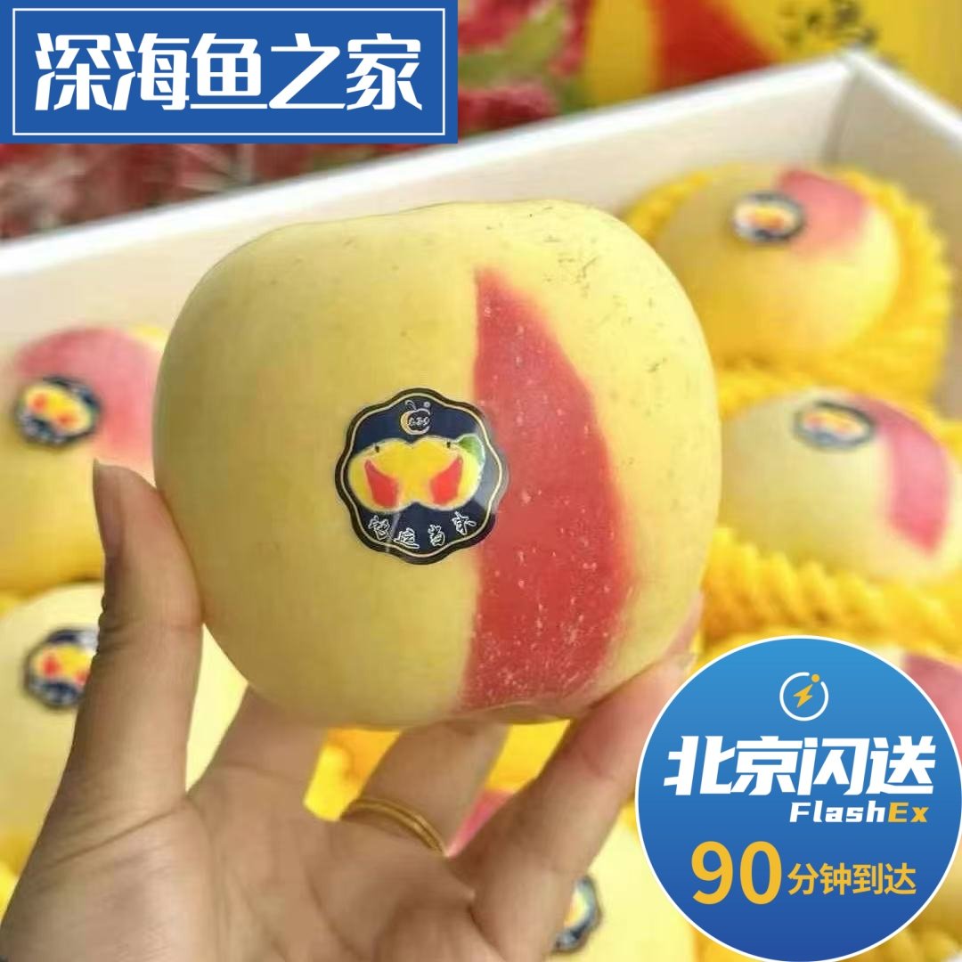 北京闪送 奶油雪果 富士 8-10粒装 苹果水果礼盒