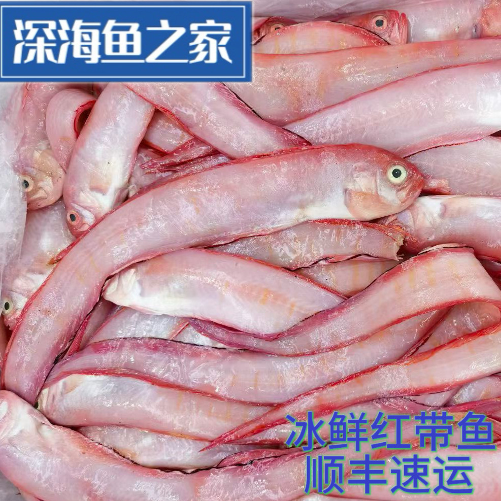冰鲜红带鱼 赤刀鱼 7两-1斤/条 3斤一份