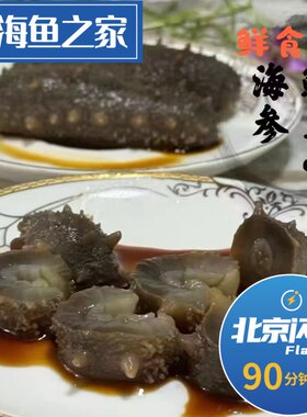 北京闪送 鲍真堂鲜食海参450g/盒  新鲜冷冻即食辽参