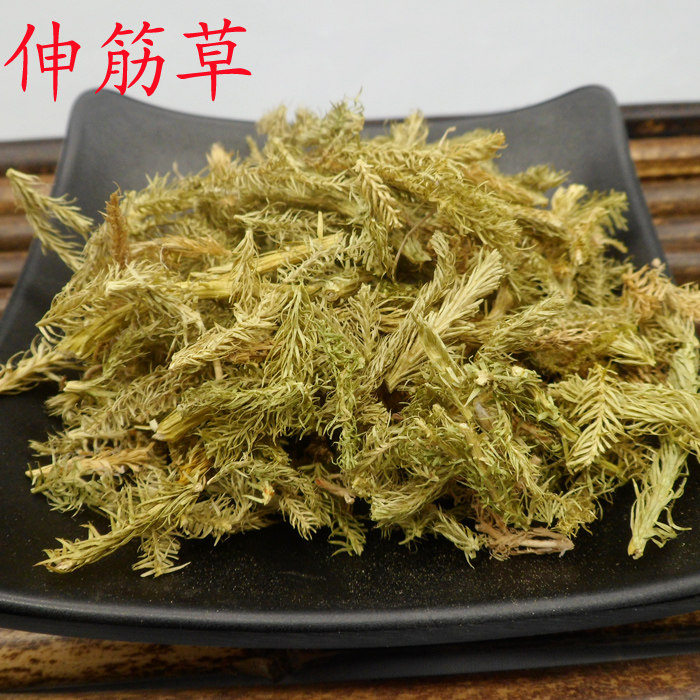 无硫新货中药材 精选伸筋草500克 舒筋草 另有益智仁远志三宝茶