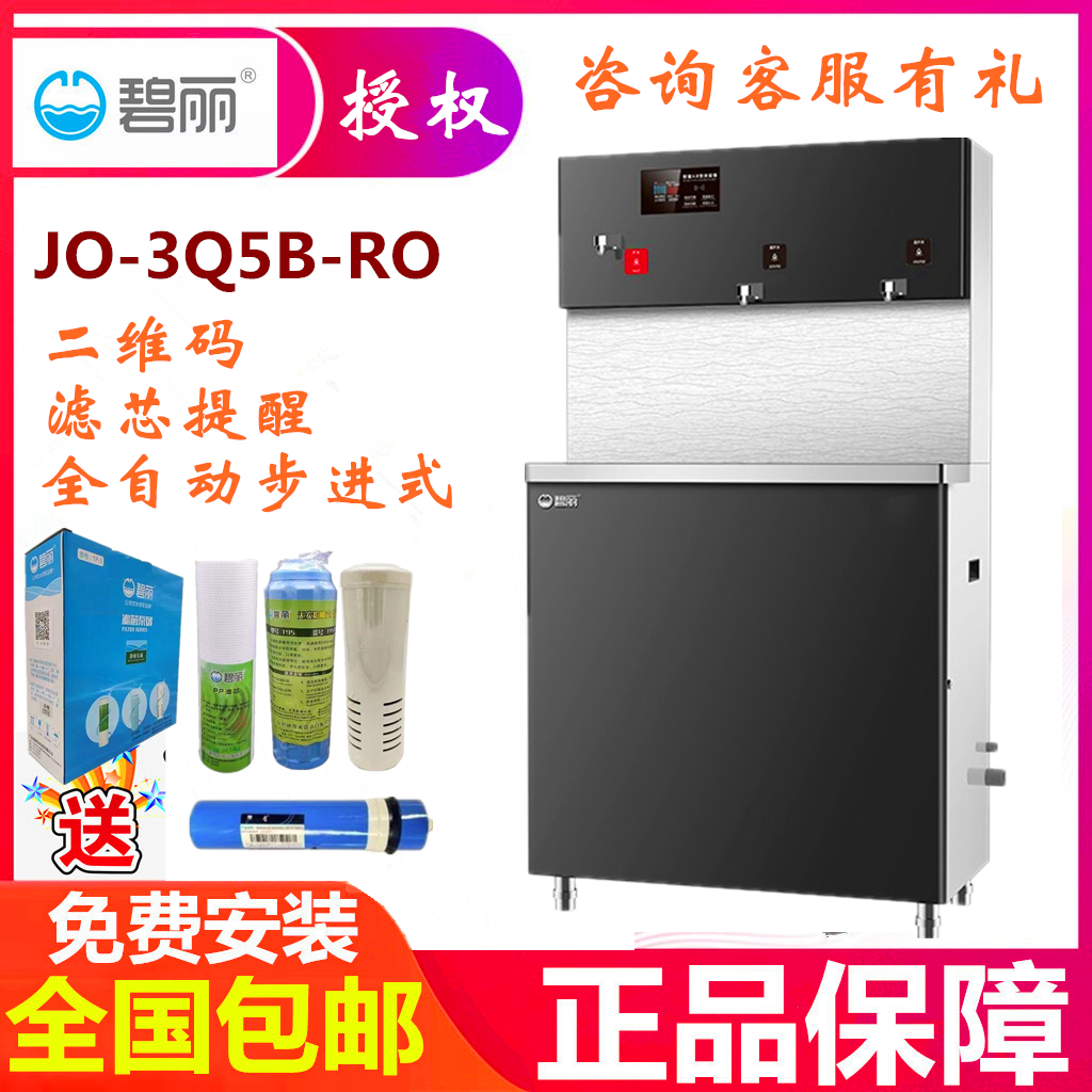 碧丽原厂滤芯正品保障技术支持