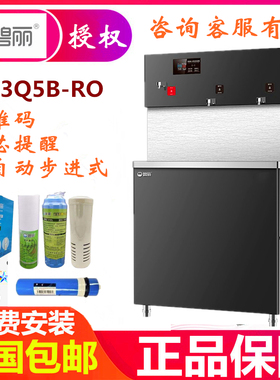 碧丽开水机JO-3Q5B-RO直饮水机净水器配置TP-3滤芯二维码T95PP棉