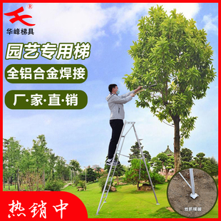 铝焊接三脚梯园艺梯轻便型可调节果园梯子农艺采摘修剪梯园林梯子