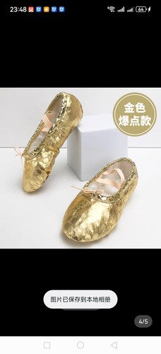 儿童银色舞蹈鞋女软底练功鞋肚皮舞芭蕾舞鞋瑜伽民族金色演出鞋