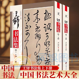 王铎书法集 铜版彩印上下2卷 王铎书法作品集行书帖草书毛笔墨迹碑帖临摹字帖善本书法大全 中国书画名家全集书法作品集 尹维新编