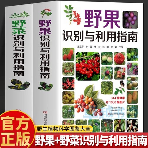 正版2册 野果识别与利用指南 野菜识别与利用指南 常见植物野外识别手册 户外野菜图鉴百科全书 野生植物食用野菜花草识别宜忌书籍