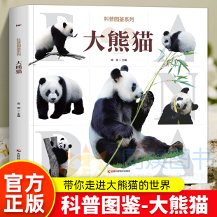 大熊猫王国 带您走进不一样 让您了解一个珍稀物种 科普图鉴系列·大熊猫两百余幅高清大熊猫彩图