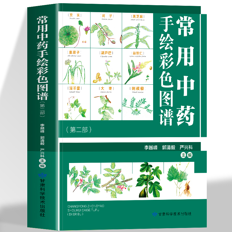 全新正版常用中药手绘彩色图谱（第二部）正版书籍中医养生保健中医学入门图书籍精选300余种常用中药材草药识别鉴别中医阅读书籍