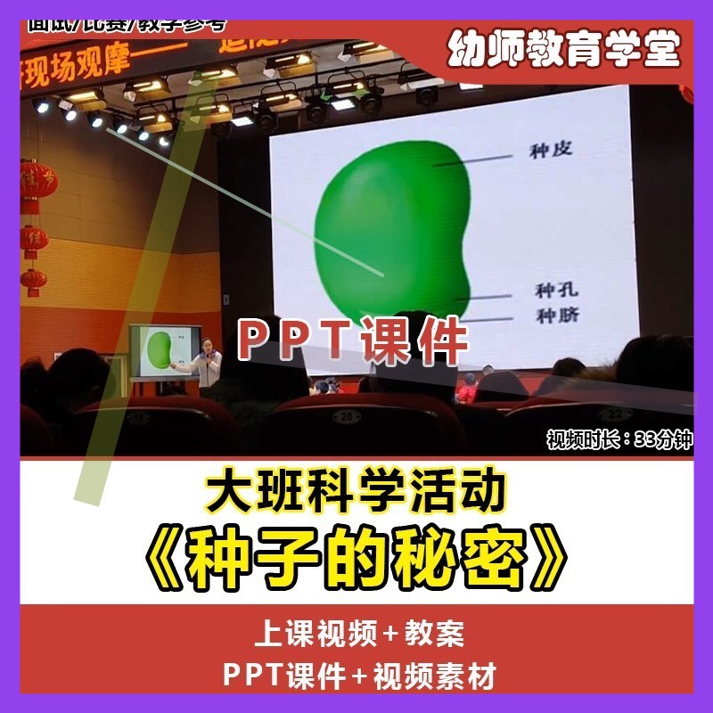 幼儿园大班科学活动《种子的秘密》种植优质公开课教案ppt课件3