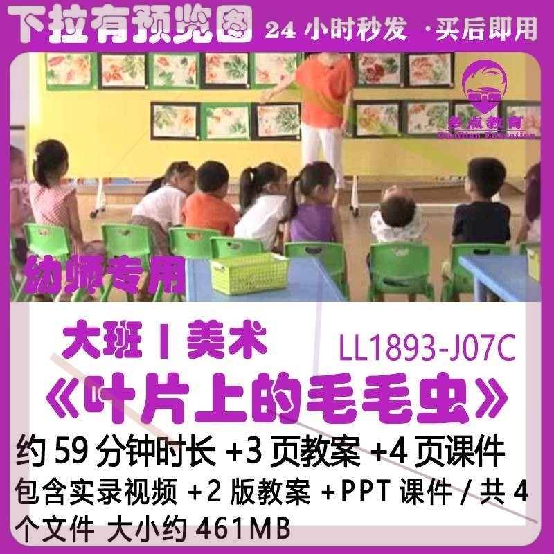 幼儿园PPT课件公开优质课获奖大班美术2版教案《叶片上的毛毛虫》