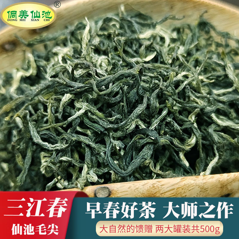 2026新茶高山云雾毛尖广西罐装