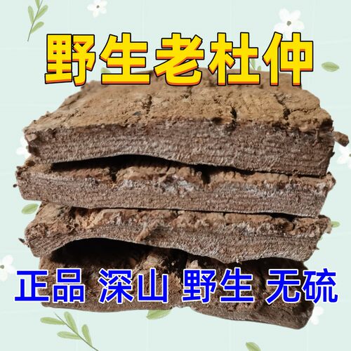 四川野生去粗皮杜仲泡酒中药材