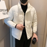 冬季新款立领棉服男加厚外套时尚休闲棉衣-2白首MY01-P118控158，男装棉衣，电商D323（原B261）