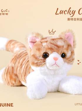 正版仿真猫咪公仔狸猫毛绒玩具猫