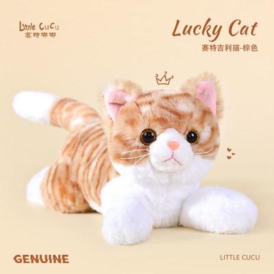 正版仿真猫咪公仔狸猫毛绒玩具猫