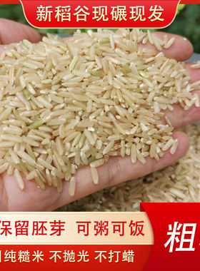 25年四川本地农家胚芽糙米玄米粗粮下单现磨长粒杂粮晚稻新米带皮